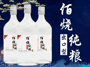 衡水臥龍泉酒業有限公司(衡大小青花系列)